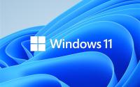 Windows 11全新安装大翻车！开机重启无限循环